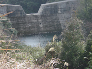 写真：砂防堰堤（上流側）