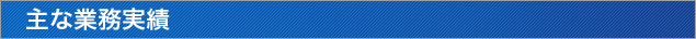 主な業務実績