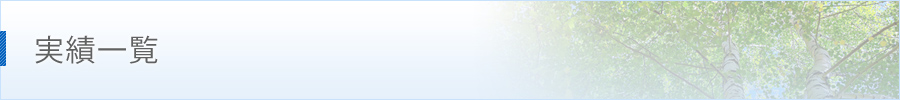 実績一覧